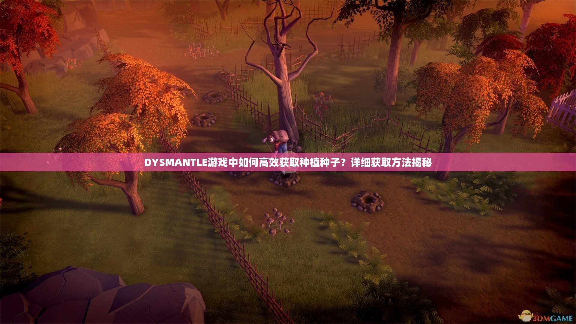 DYSMANTLE游戏中如何高效获取种植种子？详细获取方法揭秘